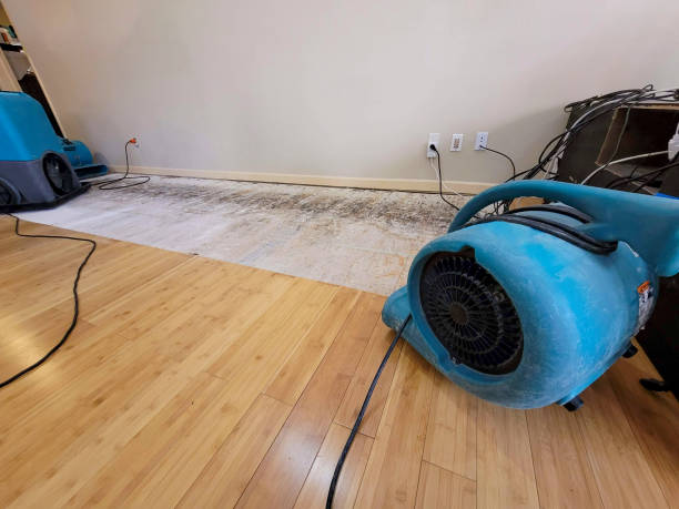 Professional Water Damage Repair technician working in Gray, LA
